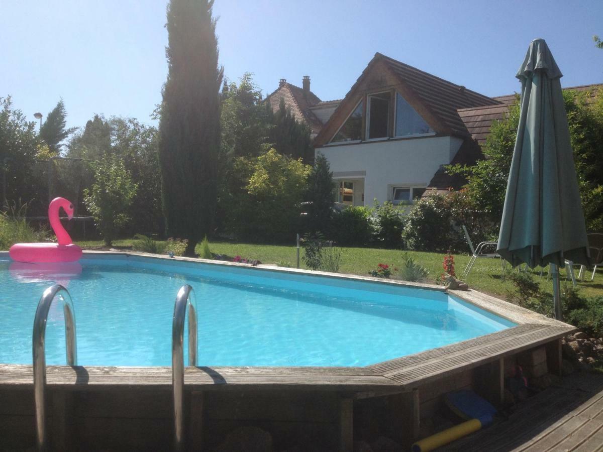 Gite Des 3 Cigognes Colmar Exterior photo